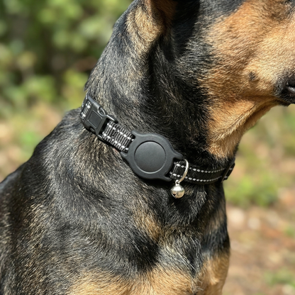™Smart Dog Tracker