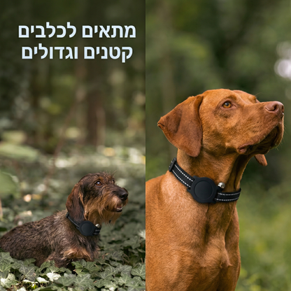 ™Smart Dog Tracker
