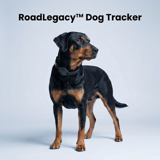 ™Smart Dog Tracker