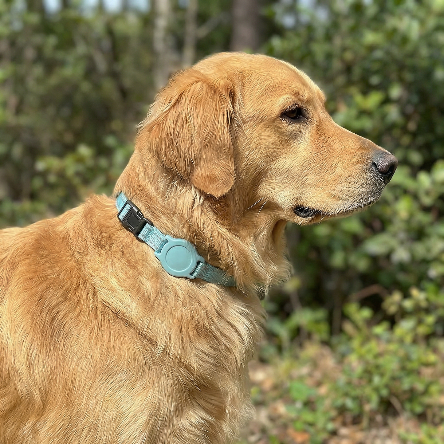 ™Smart Dog Tracker